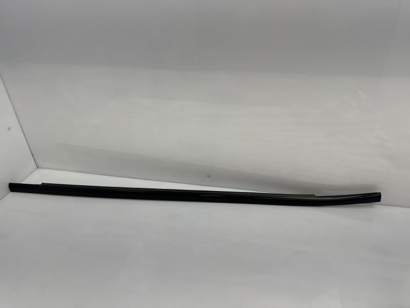 2017 Chrysler Pacifica Front Door Moulding