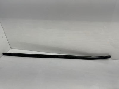 2017 Chrysler Pacifica Front Door Moulding