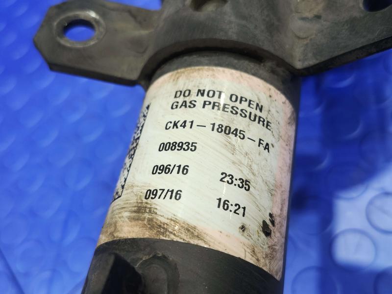 2016 Ford Transit 150 Strut Assembly