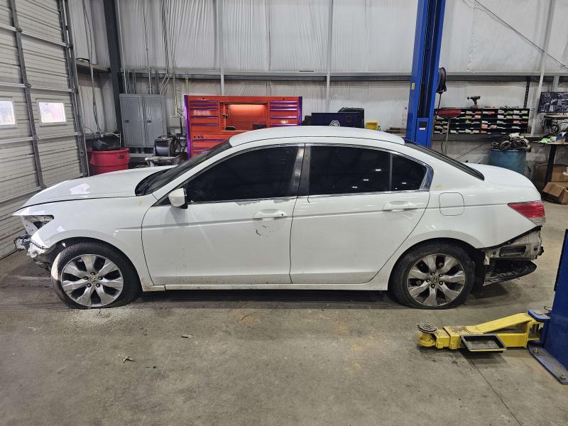 2011 Honda Accord Rear Door Trim Panel