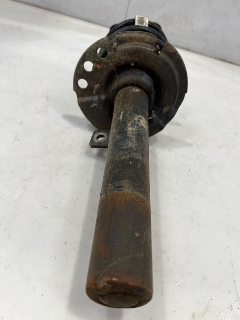 2014 Ford Escape Strut Assembly