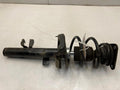 2015 Ford Escape Strut Assembly