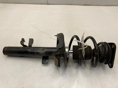 2015 Ford Escape Strut Assembly