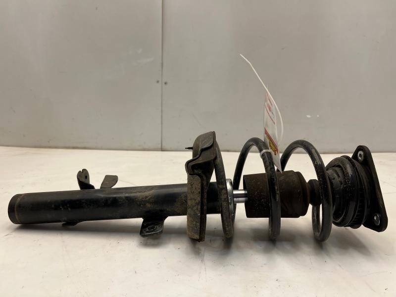 2015 Ford Escape Strut Assembly
