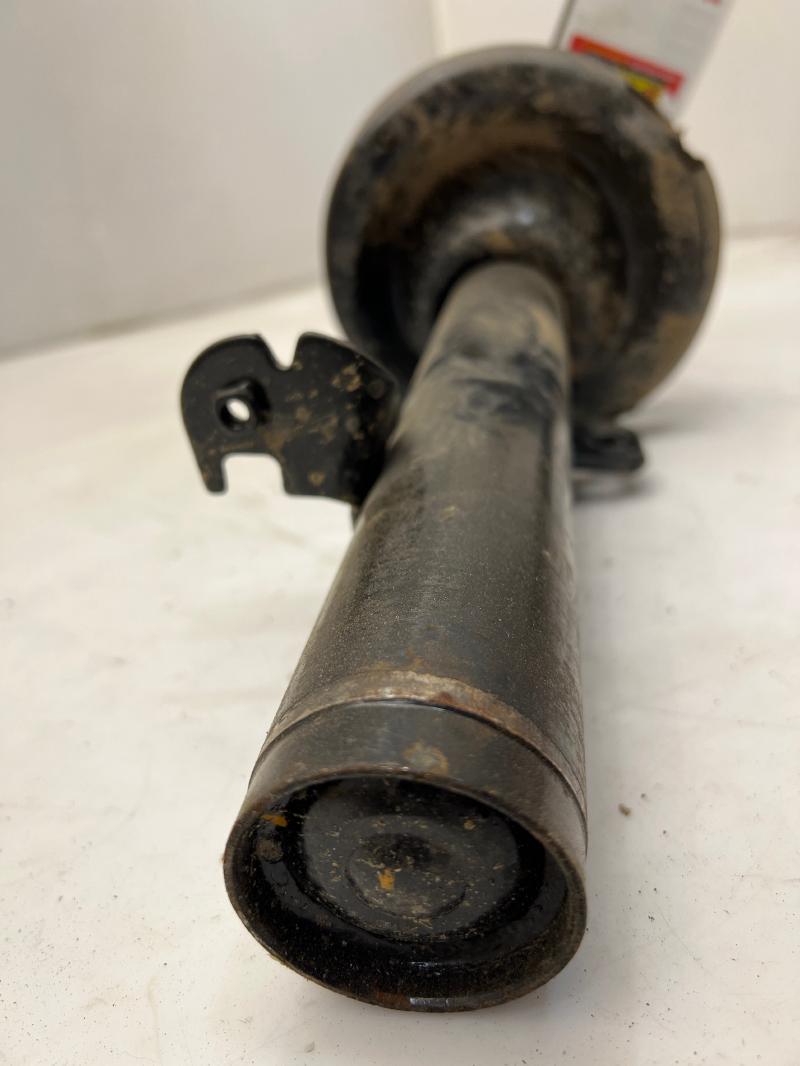2015 Ford Escape Strut Assembly