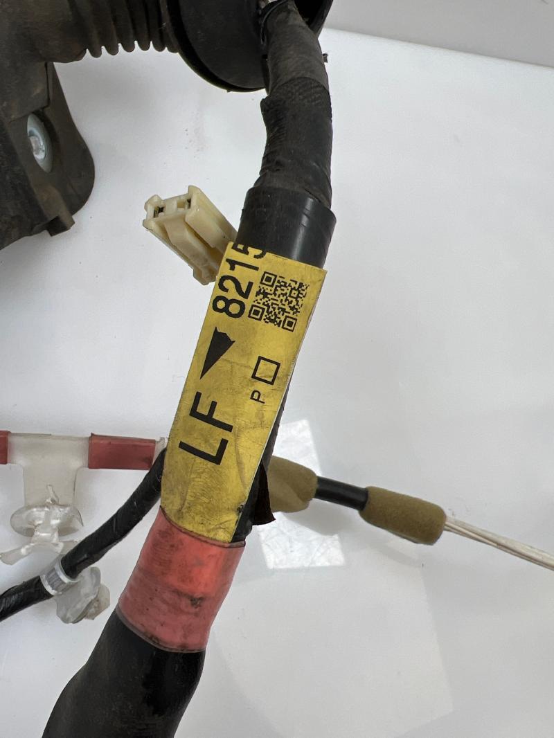 2011 Toyota Prius Wire Harness (Door)
