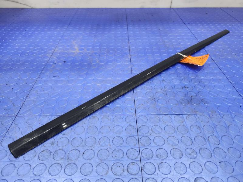 2017 Dodge Grand Caravan Front Door Moulding