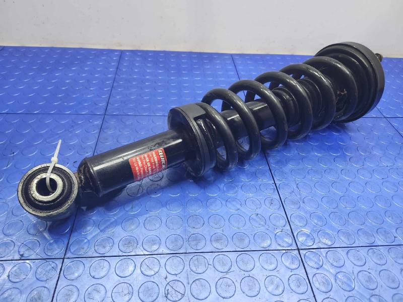 2009 Ford F-150 Strut Assembly