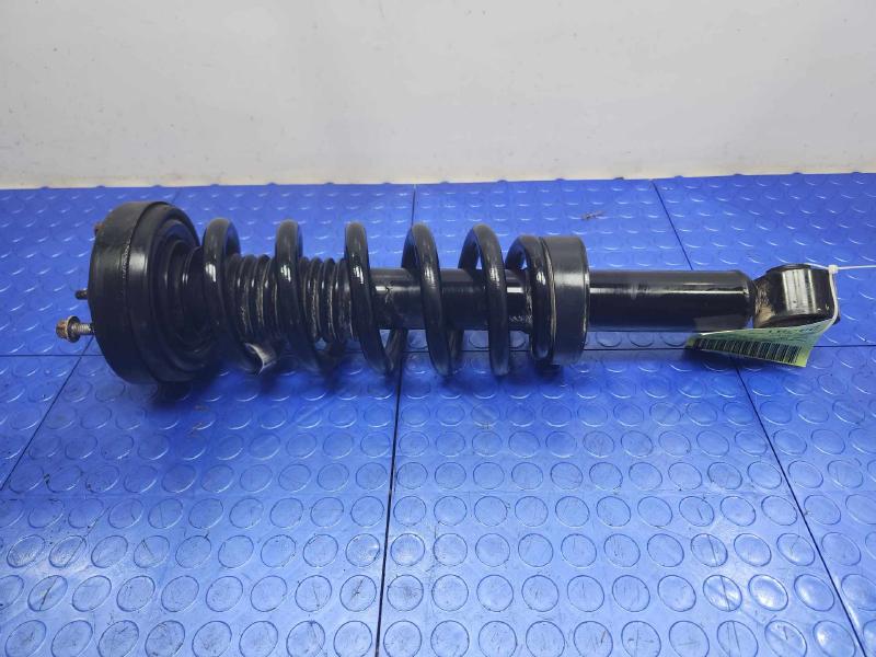 2009 Ford F-150 Strut Assembly