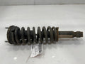 2004 Chevrolet Colorado Strut Assembly