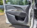 2016 Ram ProMaster City Front Door Trim Panel