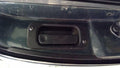 2005 Ford F-150 Outside Door Handle