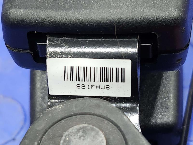 2018 Volkswagen Passat Rear Seat Belt