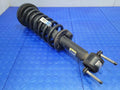 2016 Ford F-150 Strut Assembly