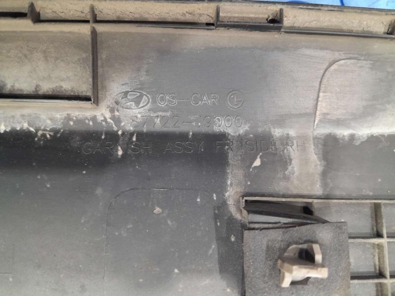 2019 Hyundai Kona Front Door Moulding
