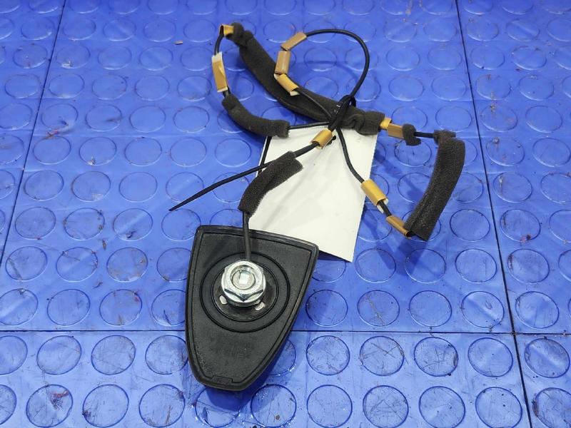 2021 Nissan Sentra Antenna