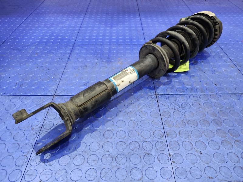 2013 Chrysler 300 Strut Assembly