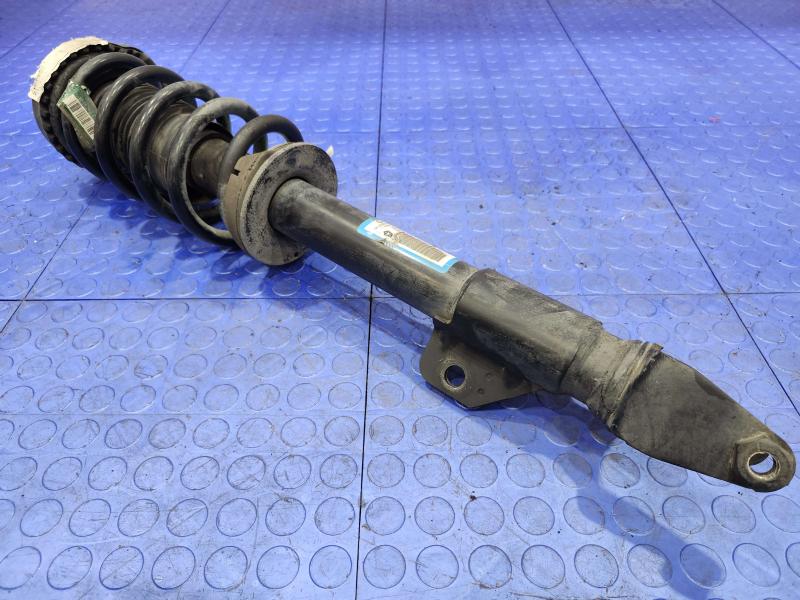 2013 Chrysler 300 Strut Assembly