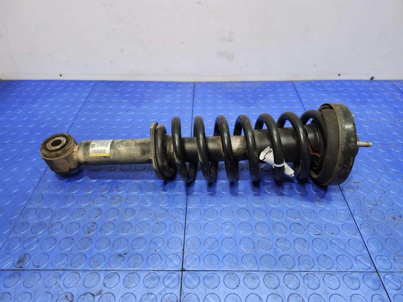 2010 Ford F-150 Strut Assembly