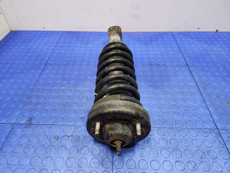 2010 Ford F-150 Strut Assembly