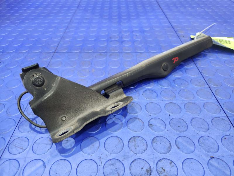 2013 Ford F-150 Hood Hinge