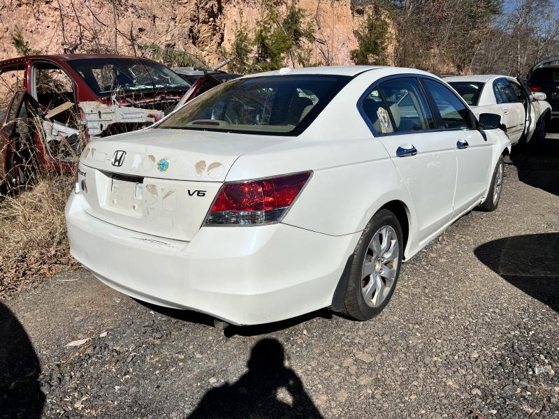 2009 Honda Accord Back Glass/Window