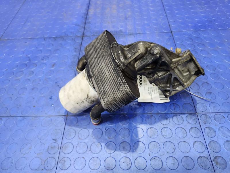 2011-2023 Ford F-150 5.0L Engine Oil Cooler Genuine OEM Part ML3Z6A642D