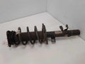 2019 Ford Escape Strut Assembly