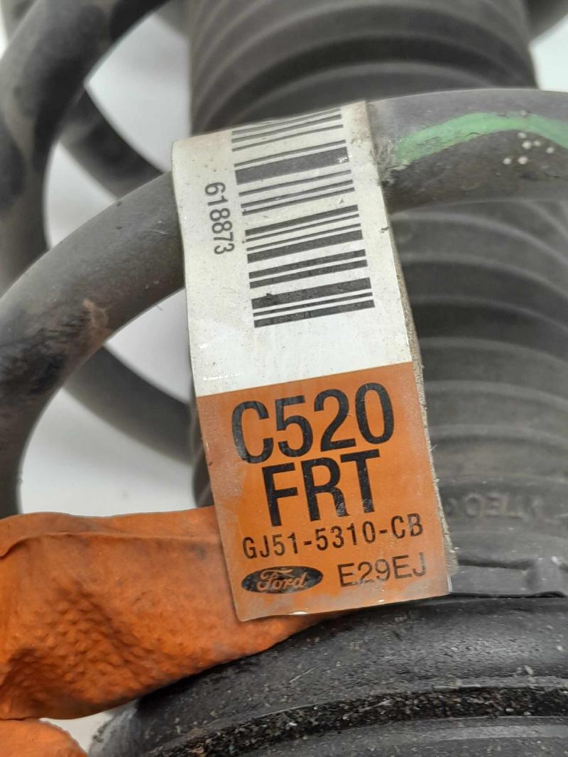 2019 Ford Escape Strut Assembly