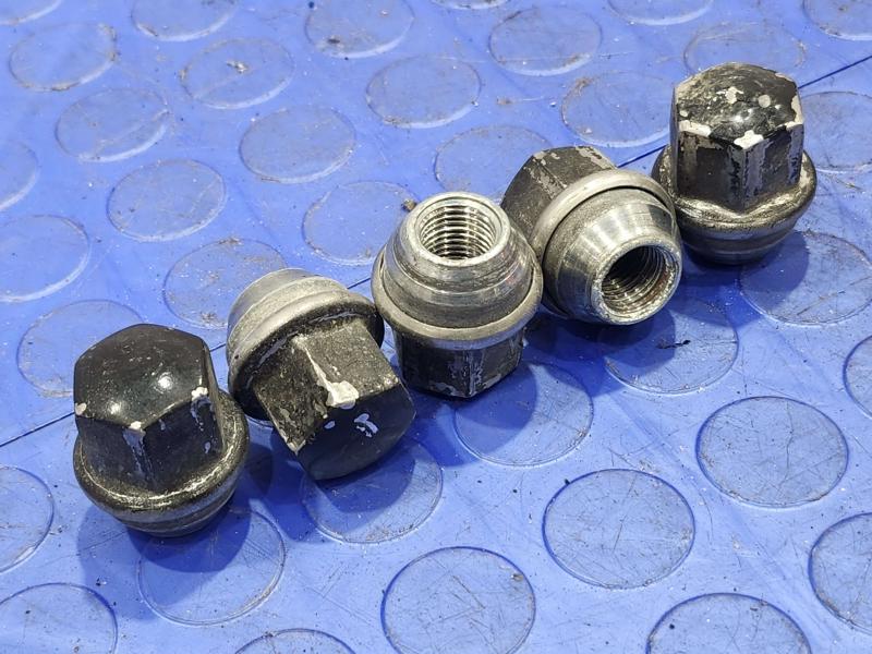 2016 Dodge Challenger Lug Nuts