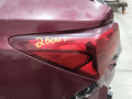 2015 Acura TLX Tail Light Assembly