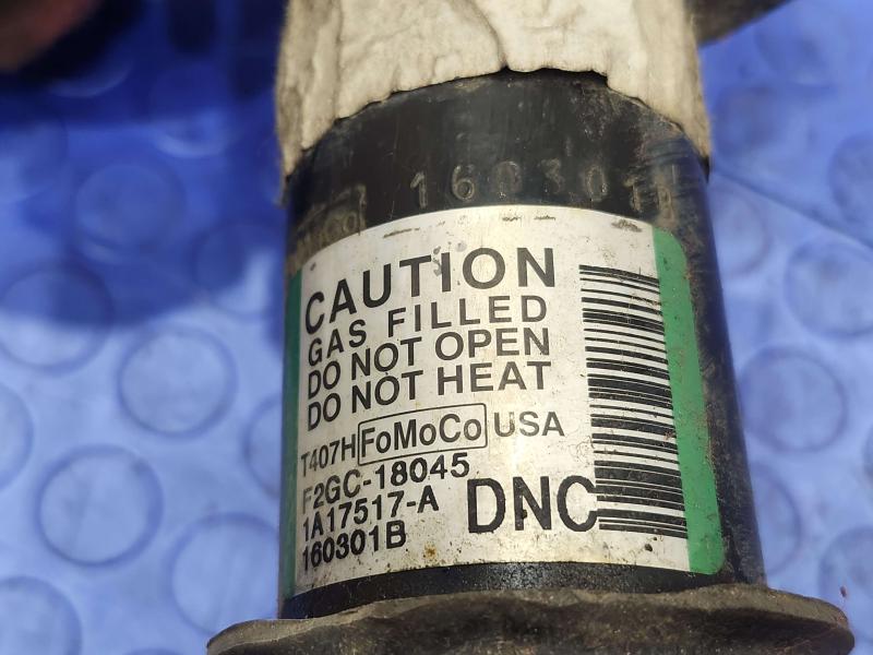 2016 Ford Edge Strut Assembly