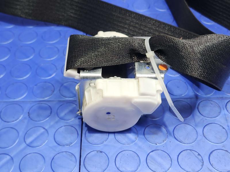 2018 Ford Expedition Rear Seat Belt