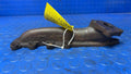 2016 Ford F-150 Exhaust Manifold