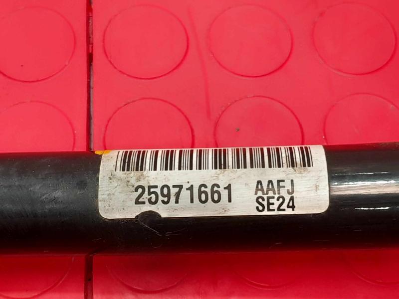 2013-2022 Buick Encore Front Stabilizer Bar Swaybar Genuine OEM 25971661
