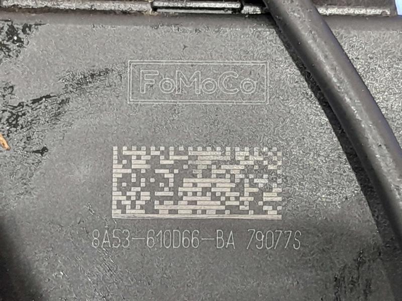 2018 Ford Focus Front Seat Belt