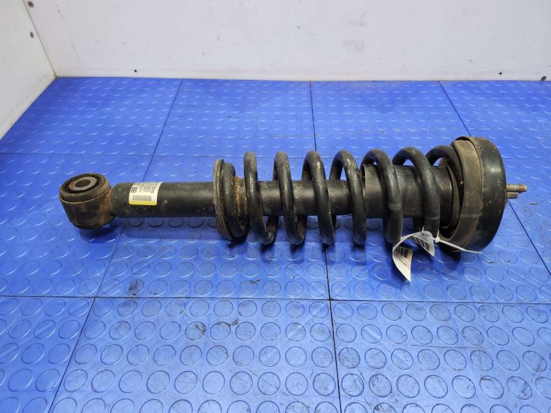 2010 Ford F-150 Strut Assembly