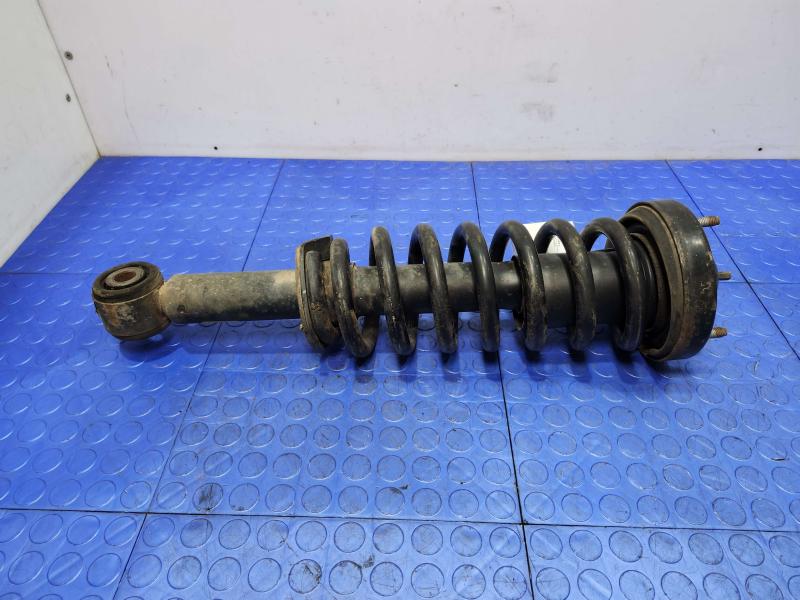 2010 Ford F-150 Strut Assembly