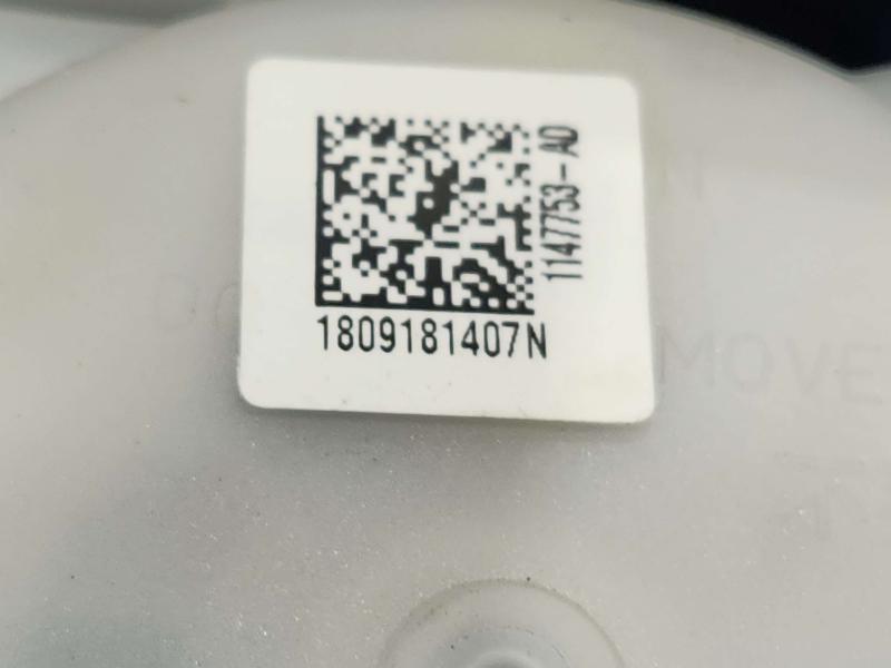 2019 Hyundai Kona Rear Seat Belt