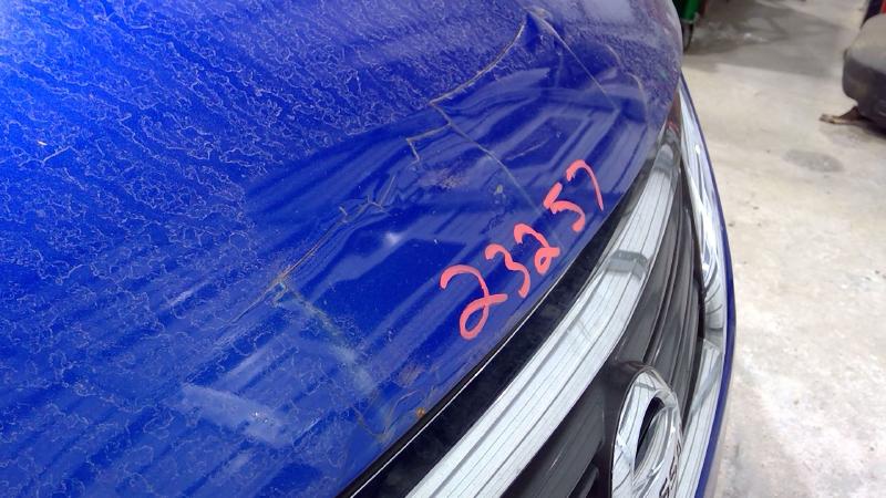 2014 Nissan Sentra Hood