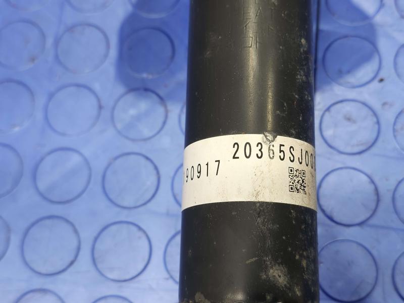 2020 Subaru Forester Strut Assembly