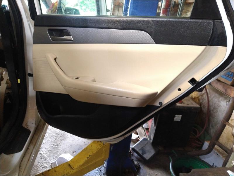 2019 Hyundai Sonata Rear Door Trim Panel