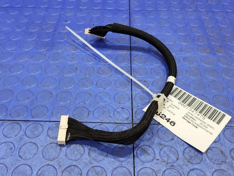 2013 Chrysler 300 Wire Harness (Misc)