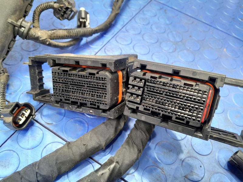 2023 Kia Soul Wire Harness (Engine)