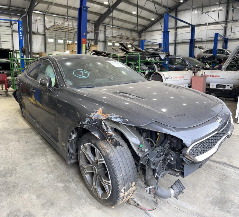 2020 Kia Stinger Front Door Regulator