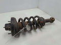 2007 Ford Expedition Strut Assembly