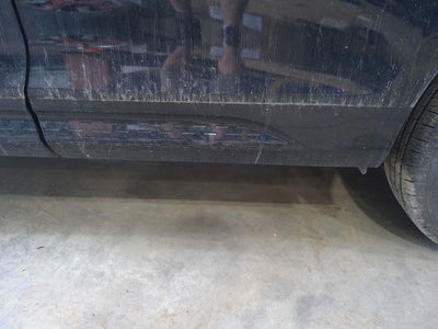 2012 Honda Crosstour Rear Door Moulding