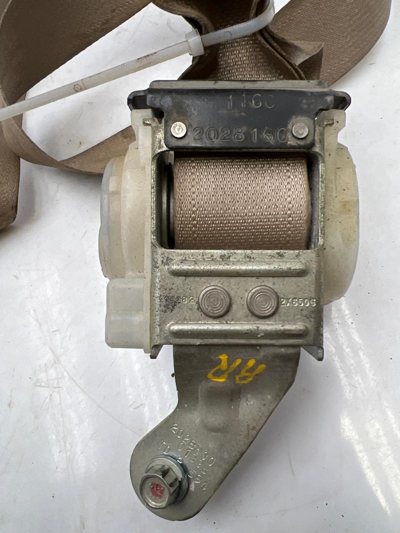2006 Honda Accord Rear Seat Belt