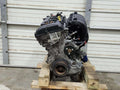2012 Ford Focus Engine Assembly/Motor