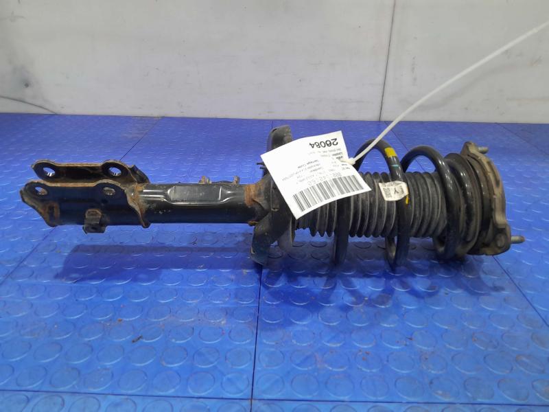 2019 Hyundai Kona Strut Assembly